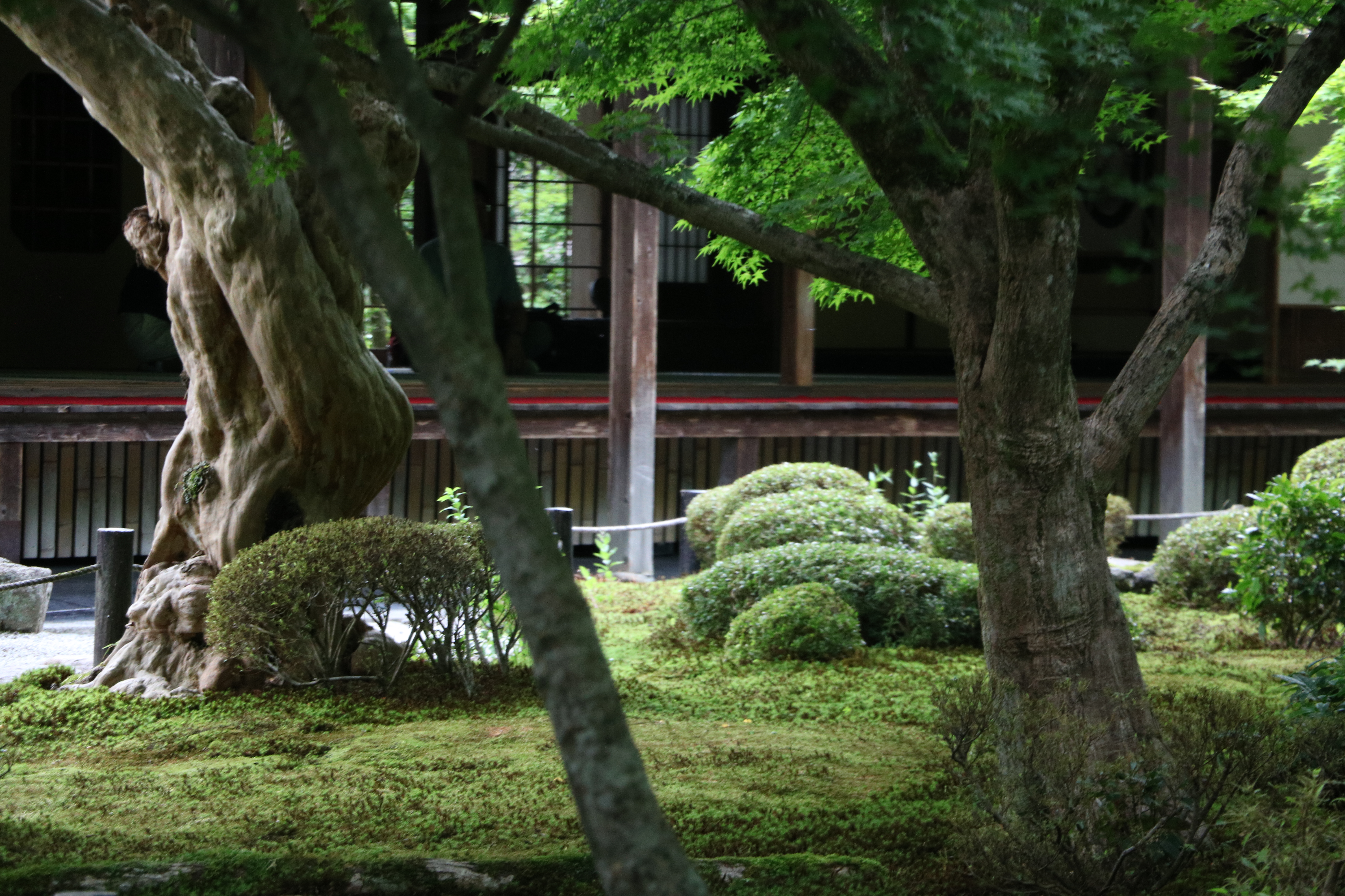 京都の穴場、一乗寺エリアで日本庭園を巡ってきた