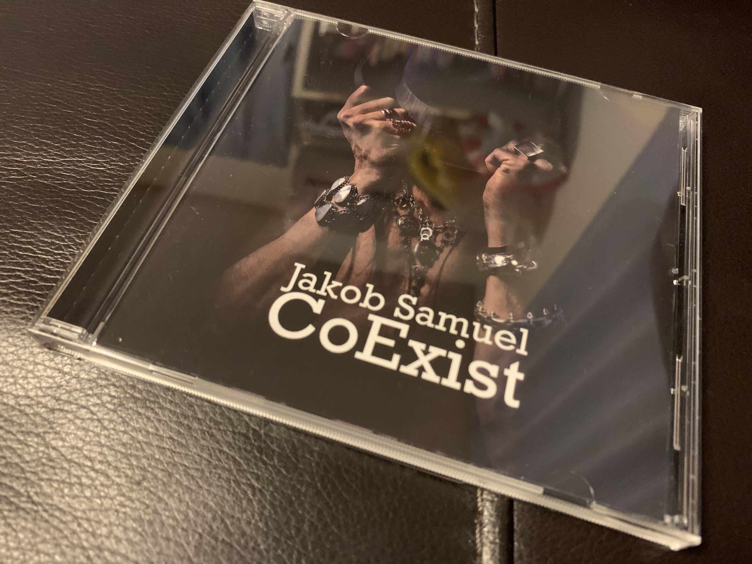2018年に解散したThe Poodlesのヴォーカリスト、Jakob Samuelのソロアルバム『CoExist』が素晴らしい